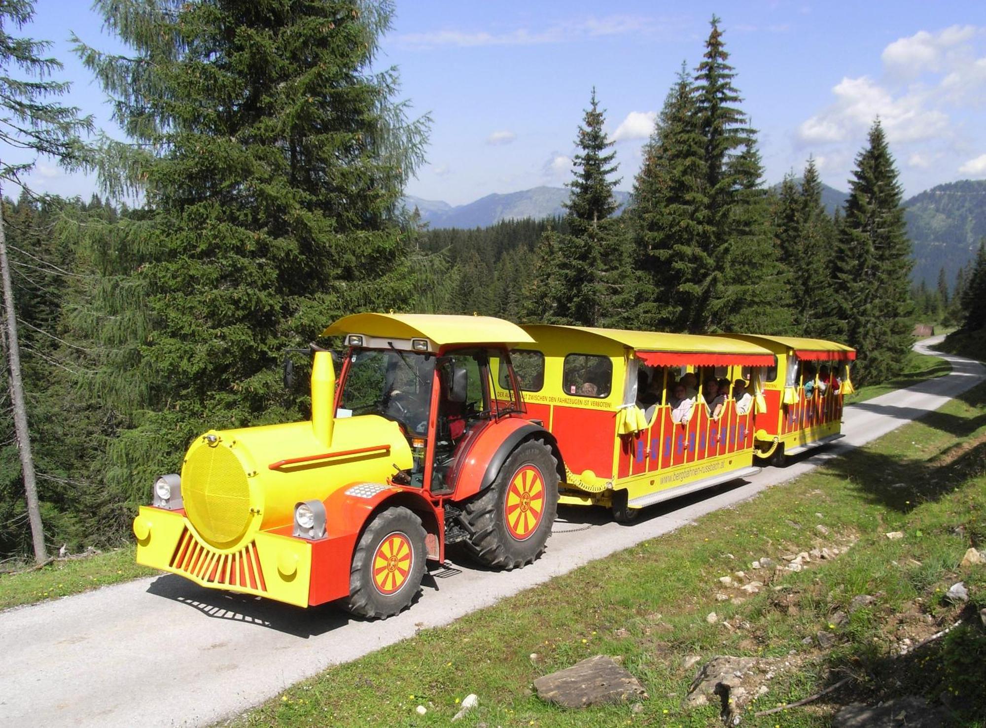 Dachstein West Hotel Gmbh-Kirchenwirt Russbach Russbach am Pass Gschütt Eksteriør billede